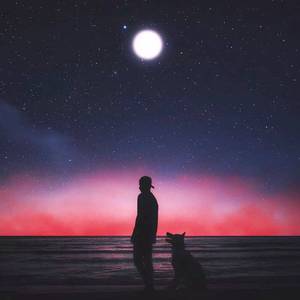 韩日综合性交网
