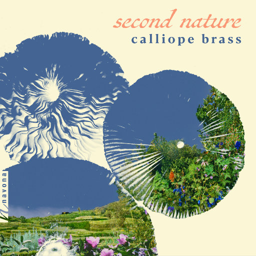 韩日综合性交网
